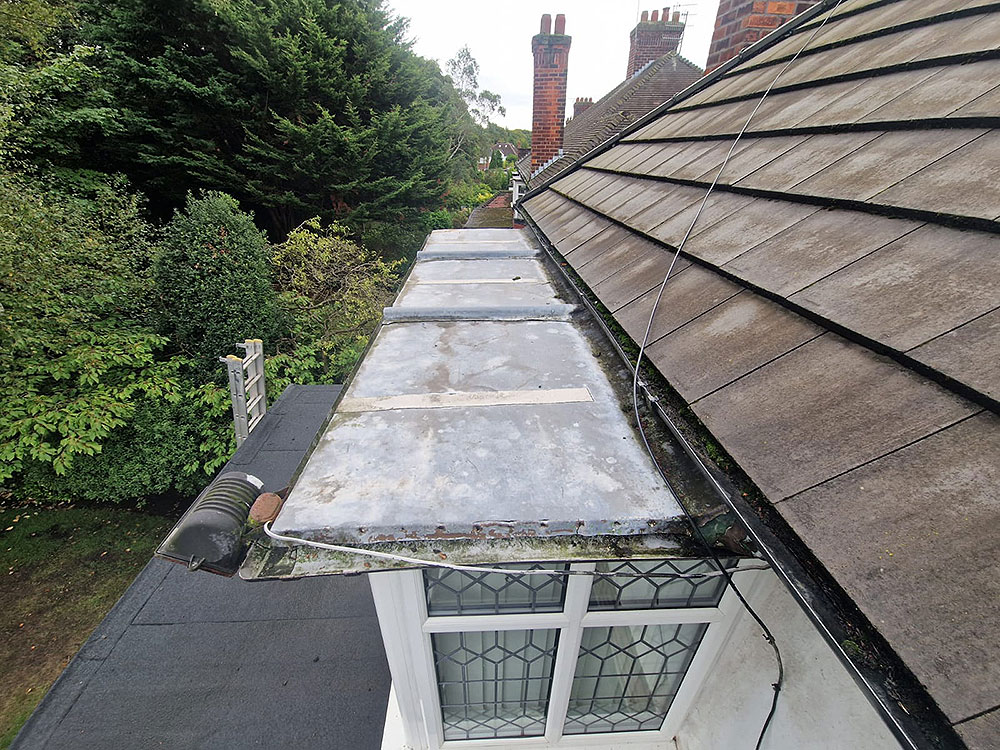 Stacks Image 1743